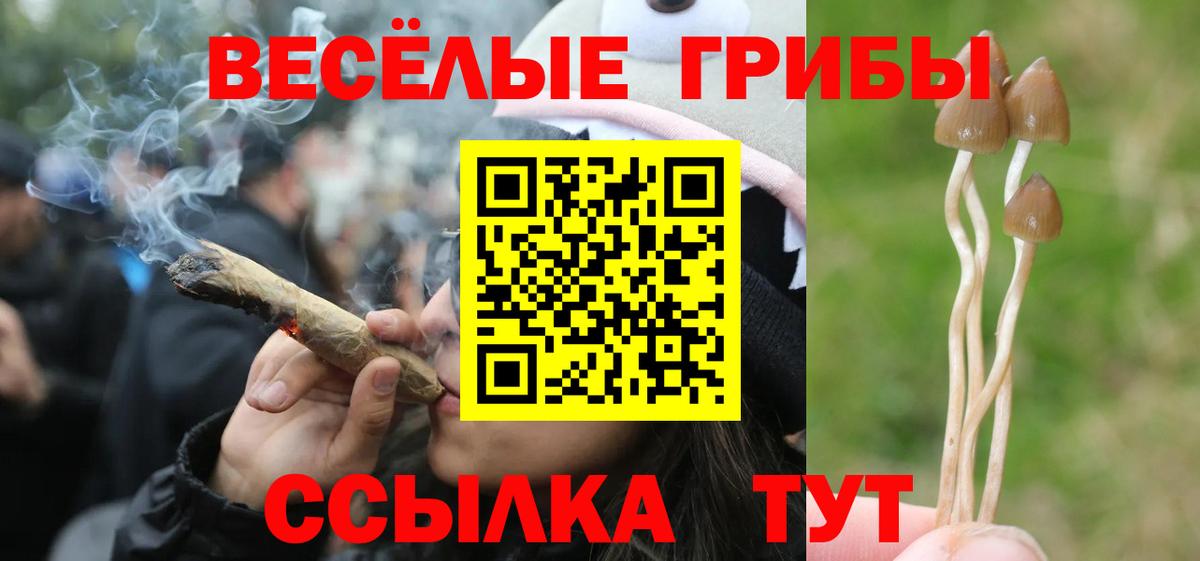 Галлюциногенные грибы мухоморы  продажа наркотиков  Вход с VPN  Соликамск  Псилоцибиновые грибы мицелий 